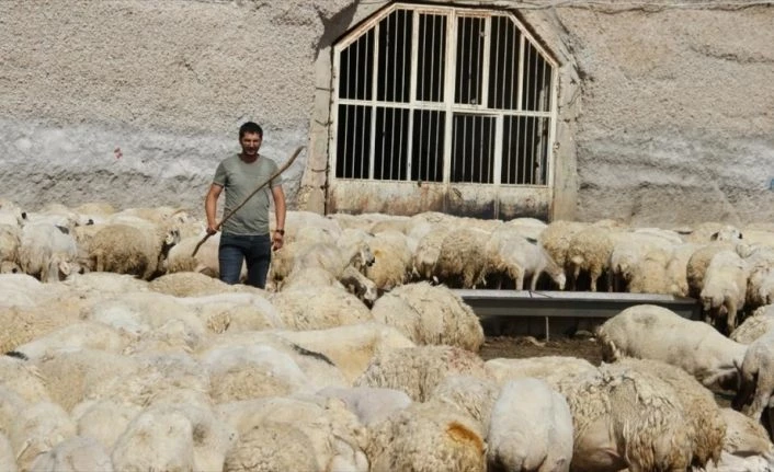 Hobi olarak başladığı besicilikteki başarısı örnek oldu