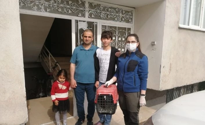İbibik kuşu tedavi altına alındı
