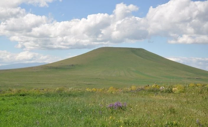 Kars’ta Kavılca buğdayı dönemi başladı