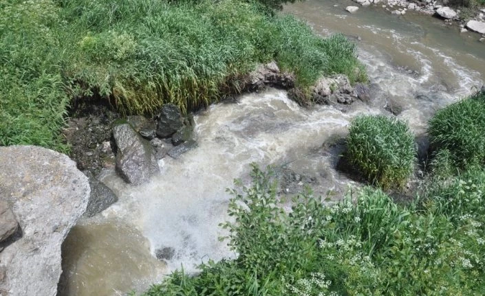Kars’ta ki balık ölümlerinin sebebi kirlilik