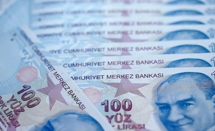 Kendi işini kurmak isteyen engellilere yönelik 2. dönem hibe desteği başvuruları başladı