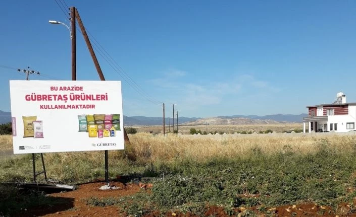 KKTC patatesi GÜBRETAŞ ile bereketlendi