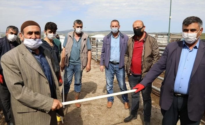 Kurban pazarlığında 