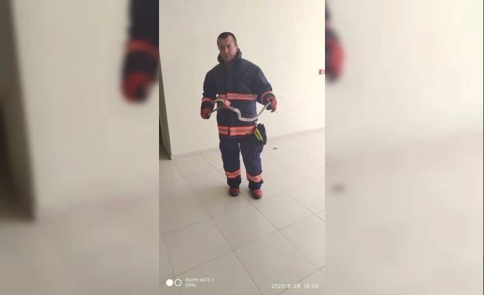 Okulda yakalanan yılanlar doğaya bırakıldı