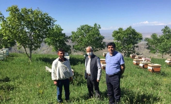 Rektör Alma, bal verimini artırma projesini yerinde inceledi