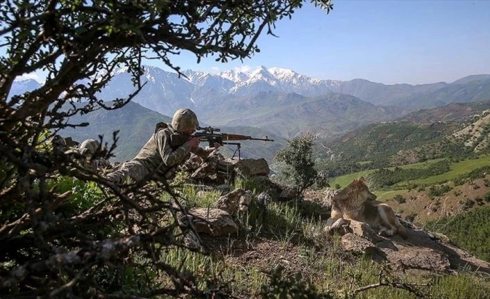 Şırnak ve Elazığ