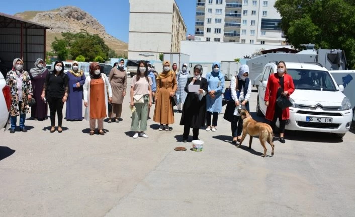 Van’da  AK Parti'den sokak hayvanları için basın açıklaması