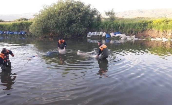 Van’da kaçak avlanmış 14 ton inci kefali ele geçirildi