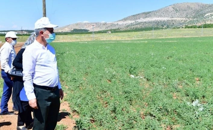 Yeşilyurt’ta tarımsal üretim ve Ar-Ge sahası kuruldu