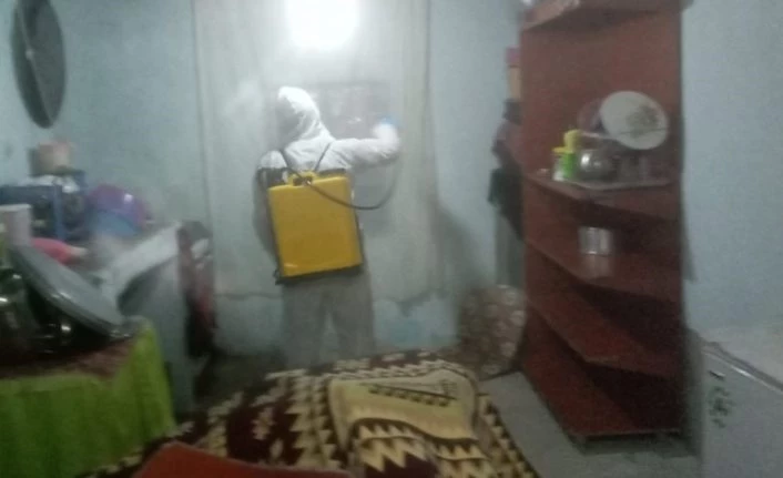 Yılan görülen ev ilaçlandı