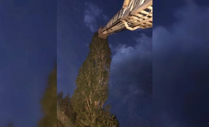 Van Çaldıran'da yuvadan düşen yavru kuşa şefkat eli