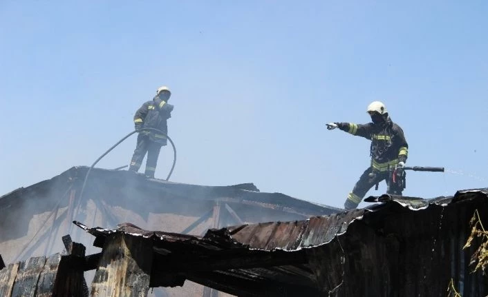Alevler hurdalığı kül etti, dumanı itfaiye ekiplerini etkiledi