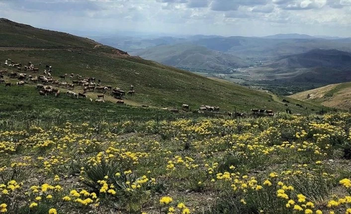 Bayburt