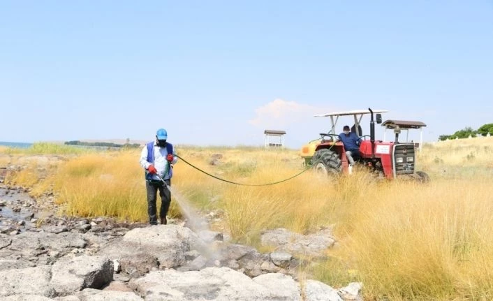 Erciş Belediyesinden vektörle mücadele ve ilaçlama çalışması