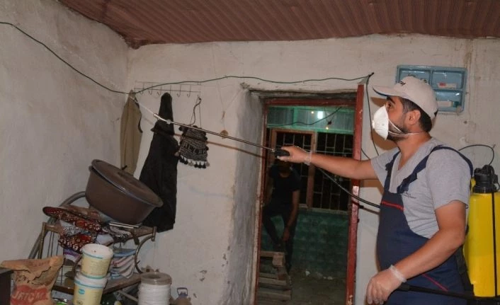 Hakkari’de yılan korkusu ev boşalttı