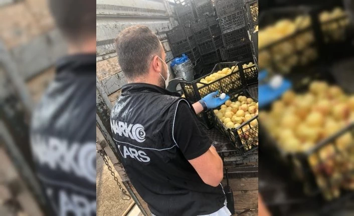 Kars’ta kayısı kasasından uyuşturucu çıktı