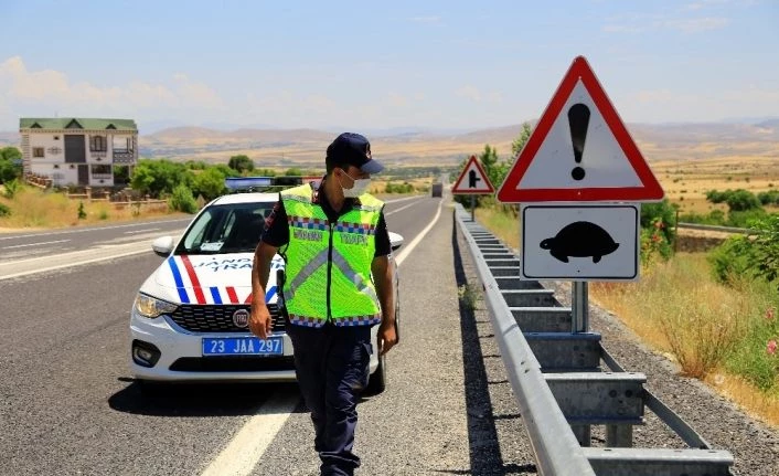 Mehmetçik, kaplumbağalar için görevde