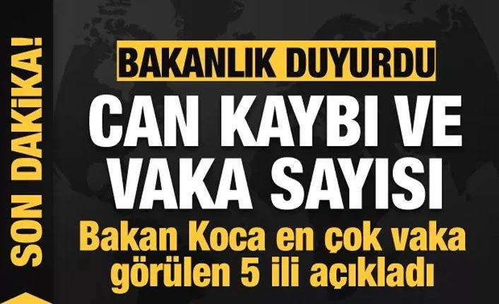 Sağlık Bakanlığı: Türkiye'de koronavirüs nedeniyle can kaybı 5.382'ye yükseldi 13 Temmuz2020