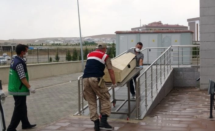 Van Gölü’nde batan tekneden çıkan ceset sayısı 16’ya yükseldi