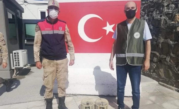Van’da kafes avcılarına ceza