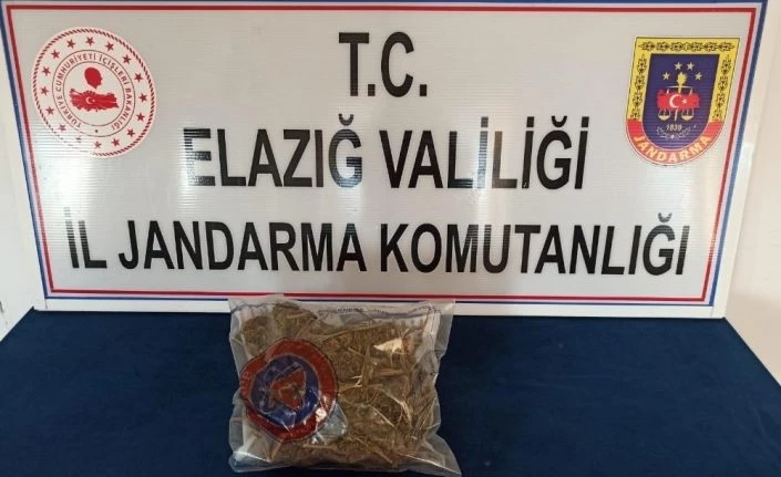 Yolcunun çantasından yarım kilo esrar çıktı