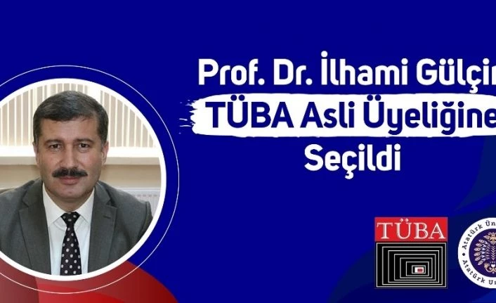 Prof. Dr. İlhami Gülçin Tüba asli üyeliğine seçildi