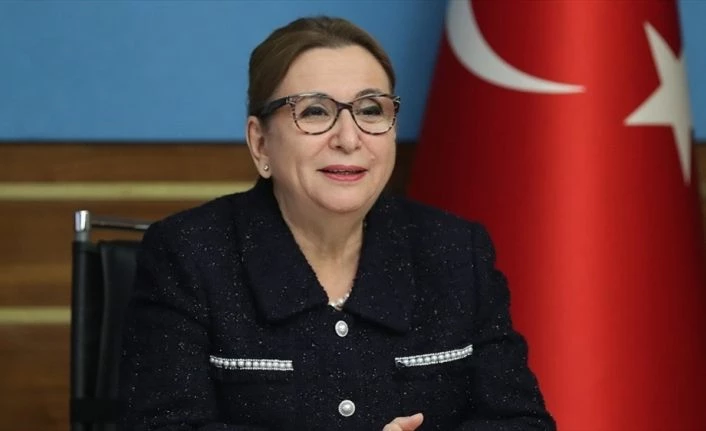 Ticaret Bakanı Pekcan: Esnaf ve sanatkarlara yönelik destek başvuruları bugün başlıyor