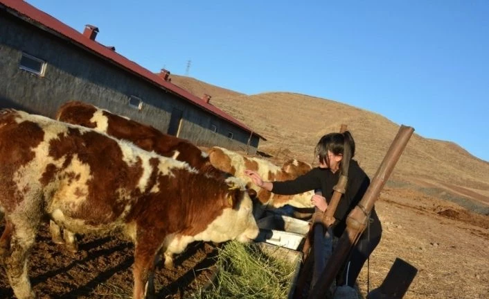 12 yaşındaki kız, biriktirdiği harçlıklarla 3 buzağı alıp çiftçiliğe atıldı