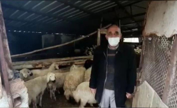 18 hayvanı çalınan besicinin yüzünü jandarma güldürdü
