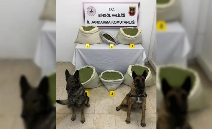 Bingöl’de 117 kilogram esrar ele geçirildi
