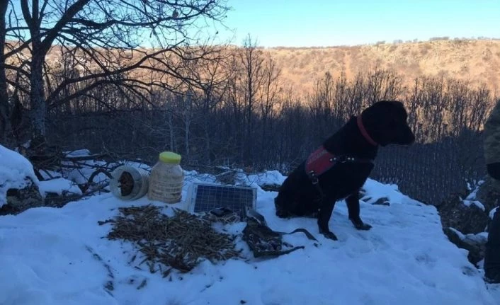 Bingöl’de el bombaları ve çeşitli mühimmatlar ele geçirildi