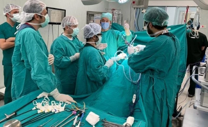 Çevrim İçi Laparoskopik Böbrek Tümörü Kursu