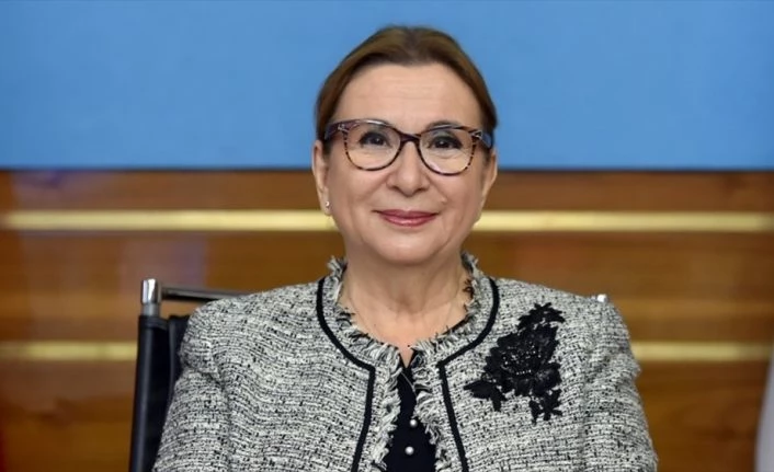 Gelir kaybı ve kira destekleri için 2 milyondan fazla esnaf ve sanatkar başvuruda bulundu