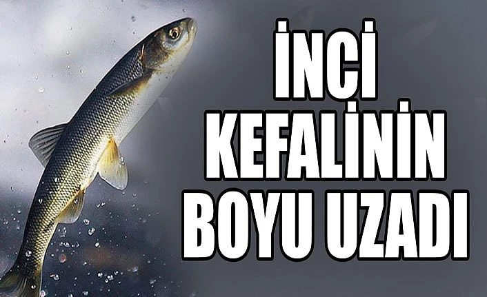 İnci Kefalinin boyu uzadı