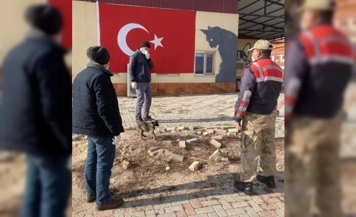 Jandarmanın fark ettiği bacağı kırık köpek  tedavi altına alındı