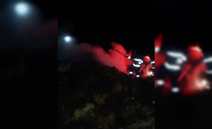 Muradiye’de 200 balya ot yandı
