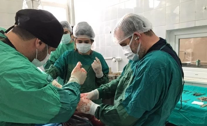 Rektör Prof. Dr. Kapu, Hayvan Hastanesi’nde incelemelerde bulundu