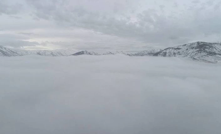 Tatvan sis altında