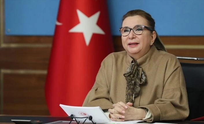 Ticaret Bakanlığı e-ticarette de piyasa gözetim ve denetim faaliyetleri başlatacak