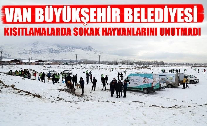 Van Büyükşehir Belediyesi kısıtlamalarda sokak hayvanlarını unutmadı