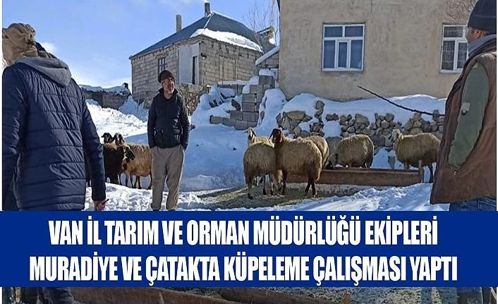 Van İl Tarım ve Orman Müdürlüğü ekipleri Muradiye ve Çatakta küpeleme çalışması yaptı