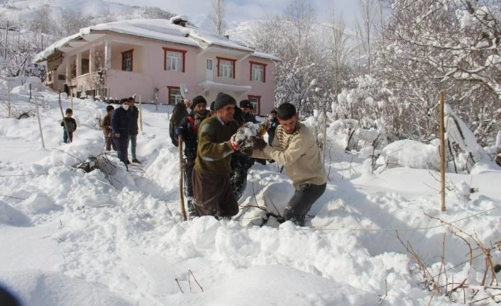 VEDAŞ ekipleri Şemdinli’de kar mesaisinde