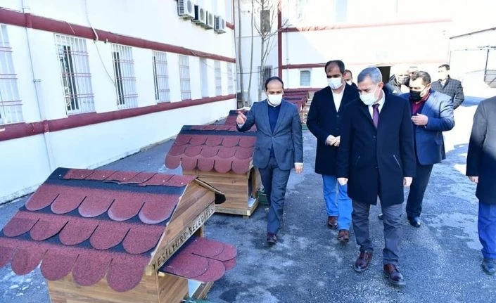 Yeşilyurt’ta sokak hayvanları için örnek proje