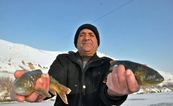 Yüksekova’da buz tutan derede ’Eskimo usulü’ balık avı