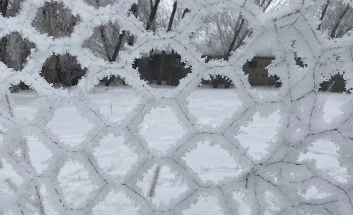 Ağaçlardaki kırağı kartpostallık görüntüler oluşturdu