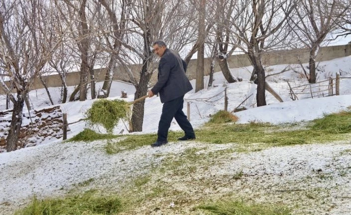 Ağrı’da hayata geçirilen “5 Yılda 750 bin Koyun” projesi meyvelerini vermeye başladı