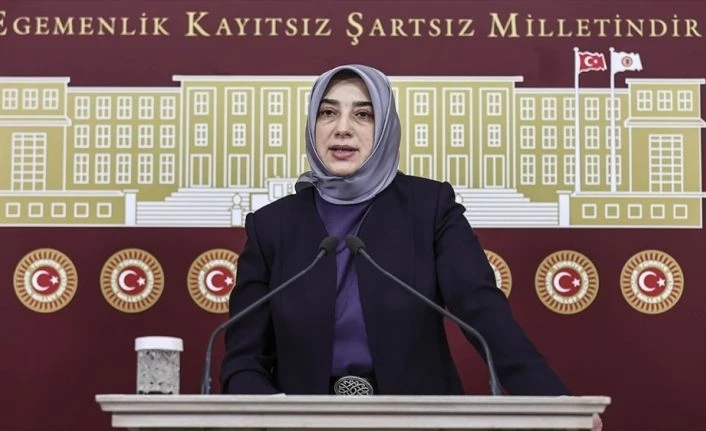AK Parti Grup Başkanvekili Özlem Zengin