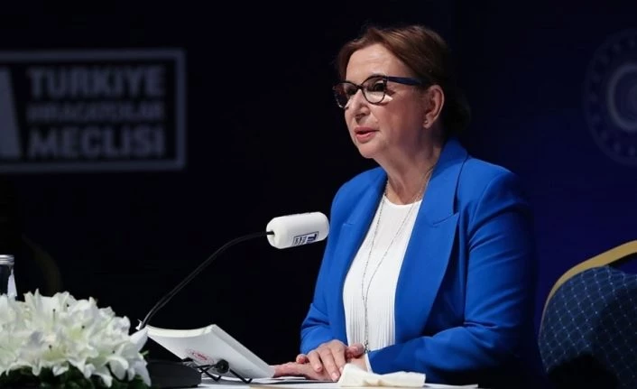 Bakan Pekcan: Tüm zamanların en yüksek ocak ayı ihracatı gerçekleşti