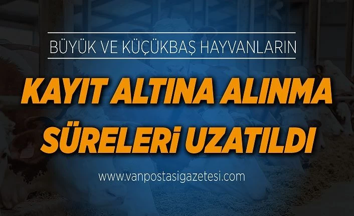 Büyük ve küçükbaş hayvanların kayıt altına alınma süreleri uzatıldı