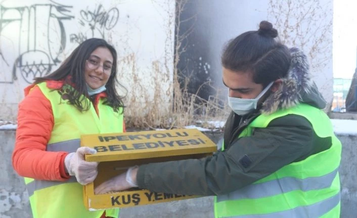 Buz tutan kentte İpekyolu Belediyesi'nden kuşlar için sıcak yuva